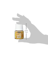 Load image into Gallery viewer, PEBEO Porcelaine 150, China Paint, 45 ml Bottle - Gold