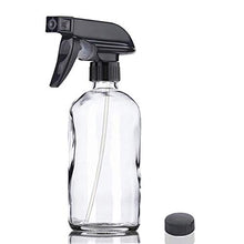 Load image into Gallery viewer, Glass Spray Bottle, Niuta 16 OZ Clear Glass Empty Spray Bottles with Labels for Plants, Pets, Essential Oils, Cleaning Products - Black Trigger Sprayer w/Mist and Stream Settings
