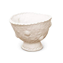 Load image into Gallery viewer, AMACO Darice STONEX Clay 5 LB AIR Dry White