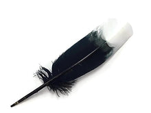 Load image into Gallery viewer, Imitation Eagle Feathers - White Tip Tom Turkey Rounds Imitation Eagle Secondary Feathers