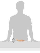Load image into Gallery viewer, Darice, Wood Model Kit, Pontoon Plane, Natural