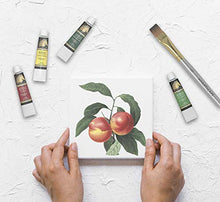 Load image into Gallery viewer, Acrylic Paint Set - 24 x 12ml Tubes - Heavy Body - Lightfast - Artist Quality Paints by MyArtscape