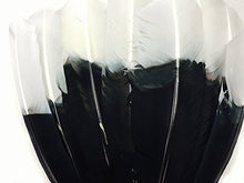 Load image into Gallery viewer, Imitation Eagle Feathers - White Tip Tom Turkey Rounds Imitation Eagle Secondary Feathers