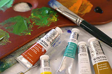 Load image into Gallery viewer, Winsor & Newton Winton Oil Colour Paint Basic Set, Ten 21ml Tubes