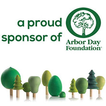 Load image into Gallery viewer, Unfinished Wooden Blocks 3/4", Pack of 100 Small Wood Cubes for Crafts and DIY Décor, by Woodpeckers