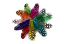 Load image into Gallery viewer, Tigofly 100 pcs/lot 11 Mixed Colors Loose Guinea Pearl Hen Feather Fowl Plumage Hackles Spotted Feathers Fly Tying Materials