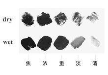 Load image into Gallery viewer, MZ001 HmayartBlack Sumi Liquid Ink for Japanese Brush Calligraphy & Chinese Traditional Artworks 250ml (Black)