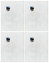 Load image into Gallery viewer, 4-Pack of Darice Mesh Plastic Canvas - Clear - 10.5 x 13.5