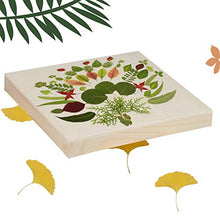 Load image into Gallery viewer, 10 Pcs 5.7''x5.7'' Pine Wood Painting Panel Boards,Wood Canvas Panel Boards for Painting, Natural Unfinished Wooden Paint Panel Boards, Kid's Hand Draw Wood Panels