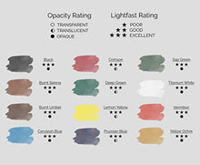 Load image into Gallery viewer, Watercolor Paint Set - Artist Quality Paints - 12 x 21ml Vibrant Colors - Rich Pigments - Professional Supplies by MyArtscape™