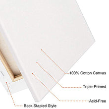 Load image into Gallery viewer, FIXSMITH Stretched White Blank Canvas- 8x10 Inch,Bulk Pack of 12,Primed,100% Cotton,5/8 Inch Profile of Super Value Pack for Acrylics,Oils & Other Painting Media.