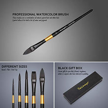 Load image into Gallery viewer, Dainayw Watercolor Paint Brushes Set Squirrel Hair Professional Artist Painting Mop for Gouache Watercolors Inks, 5 Pcs Black Golden Handle
