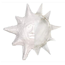 Load image into Gallery viewer, AMACO AMO41821 SCULPTAMLD Modeling CMPOUND 3LB, Pack of 1, Multicolor