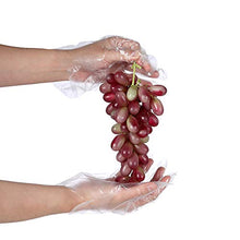 Load image into Gallery viewer, 500 PCS Plastic Disposable Gloves, Transparent, One Size Fits Most,by Brandon-super