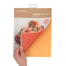 Load image into Gallery viewer, Lia Griffith Frosted Paper Blooms Dahlia Flowers, 8.5" x 11", Assorted Colors 21 Pages