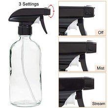 Load image into Gallery viewer, Glass Spray Bottle, Niuta 16 OZ Clear Glass Empty Spray Bottles with Labels for Plants, Pets, Essential Oils, Cleaning Products - Black Trigger Sprayer w/Mist and Stream Settings