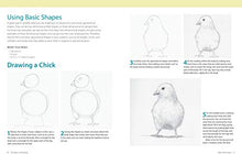 Load image into Gallery viewer, Basics of Drawing: The Ultimate Guide for Beginners