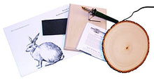Load image into Gallery viewer, Walnut Hollow Creative Woodburning (Pyrography) Kit for the Beginner in Arts, Crafts & Hobby