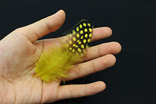 Load image into Gallery viewer, Tigofly 100 pcs/lot 11 Mixed Colors Loose Guinea Pearl Hen Feather Fowl Plumage Hackles Spotted Feathers Fly Tying Materials