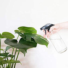 Load image into Gallery viewer, Glass Spray Bottle, Niuta 16 OZ Clear Glass Empty Spray Bottles with Labels for Plants, Pets, Essential Oils, Cleaning Products - Black Trigger Sprayer w/Mist and Stream Settings