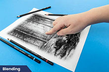 Load image into Gallery viewer, Pacific Arc Premium Charcoal Drawing Pencils for Artists - 6 Pieces Soft Medium and Hard - Charcoal Pencils for Drawing, Sketching and Shading - Great Non Toxic Art Supplies Set for Adults and Kids