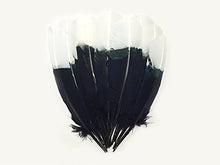 Load image into Gallery viewer, Imitation Eagle Feathers - White Tip Tom Turkey Rounds Imitation Eagle Secondary Feathers