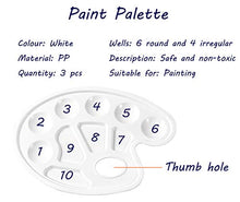 Load image into Gallery viewer, BOOMIBOO Paint Tray Palettes Plastic Pallets with Thumb Hole for Kids,Adults,Students to Acrylic Oil Watercolor Craft Supplies DIY Art Painting,3 pcs