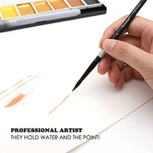 Load image into Gallery viewer, dainayw Round Watercolor Paint Brushes Squirrel Hair Professional Artist Painting Mop - 4Pcs Black Handle