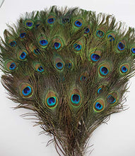 Load image into Gallery viewer, Garvest Natural Peacock Feathers – 10 to 12-Inch Eyed Peacock Tail Feathers – DIY Craft Decoration for Weddings, Halloween, Anniversaries, Christmas, Holidays, Costumes – Set of 50 Peacock Feathers