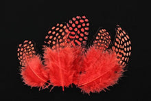 Load image into Gallery viewer, Tigofly 100 pcs/lot 11 Mixed Colors Loose Guinea Pearl Hen Feather Fowl Plumage Hackles Spotted Feathers Fly Tying Materials