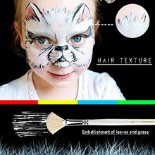 Load image into Gallery viewer, Amagic Fan Brush Set - Hog Bristle Natural Hair - Artist Soft Anti-Shedding Paint Brushes for Acrylic Watercolor Oil Painting, Long Wood Handle with Case, Set of 6