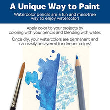 Load image into Gallery viewer, Faber-Castell Grip Watercolor EcoPencils - 12 Water Color Pencils with Brush