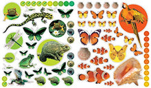 Load image into Gallery viewer, Eyelike Stickers: Animals