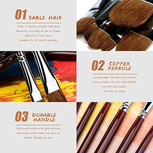 Load image into Gallery viewer, Red Pure Weasel Sable Hair Artist Brushes Filbert Brush Set For Acrylic Oil Gouche and Watercolor Painting Wooden Handle 6Pcs