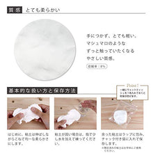 Load image into Gallery viewer, Padico Hearty Super Light Weight Modeling Clay 200g Color White (Japan Import)