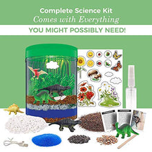 Load image into Gallery viewer, Light-Up Terrarium Kit for Kids with 5 Dinosaur Toys, STEM Educational DIY Science Project - Create Your Customized Mini Dinosaur Garden for Children - Best Gift for Boys and Girls Age 3, 4, 5, 6, 7