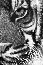 Load image into Gallery viewer, 2 Books of Scratch Art Black Coated Scratchboards 8 1/2 in. x 11 in. Pack of 10 and 1 Metal Scratch Tool