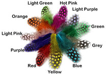Load image into Gallery viewer, Tigofly 100 pcs/lot 11 Mixed Colors Loose Guinea Pearl Hen Feather Fowl Plumage Hackles Spotted Feathers Fly Tying Materials