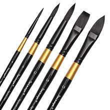 Load image into Gallery viewer, Dainayw Watercolor Paint Brushes Set Squirrel Hair Professional Artist Painting Mop for Gouache Watercolors Inks, 5 Pcs Black Golden Handle