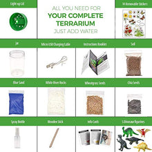 Load image into Gallery viewer, Light-Up Terrarium Kit for Kids with 5 Dinosaur Toys, STEM Educational DIY Science Project - Create Your Customized Mini Dinosaur Garden for Children - Best Gift for Boys and Girls Age 3, 4, 5, 6, 7