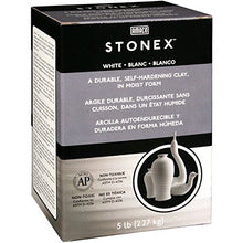 Load image into Gallery viewer, AMACO Darice STONEX Clay 5 LB AIR Dry White