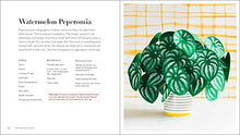 Load image into Gallery viewer, Handmade Houseplants: Remarkably Realistic Plants You Can Make with Paper