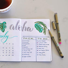 Load image into Gallery viewer, Sakura Black Pigma Micron PN Pens .45mm 3/Pkg, Original Version