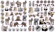 Load image into Gallery viewer, Eyelike Stickers: Baby Animals