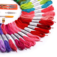 Load image into Gallery viewer, Embroidery Floss Rainbow Color Cross Stitch Threads Friendship Bracelets Crafts Floss(50 Skeins Per Pack)