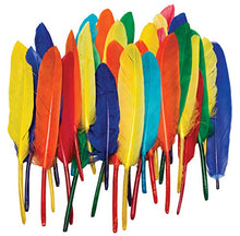 Load image into Gallery viewer, Duck Quill Feathers - Bright Color Assortments