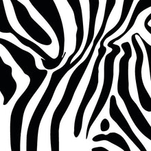 Load image into Gallery viewer, Duck Brand 1398132 Printed Duct Tape Single Roll, 1.88 Inches x 10 Yards, Zebra