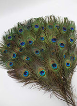Load image into Gallery viewer, Garvest Natural Peacock Feathers – 10 to 12-Inch Eyed Peacock Tail Feathers – DIY Craft Decoration for Weddings, Halloween, Anniversaries, Christmas, Holidays, Costumes – Set of 50 Peacock Feathers