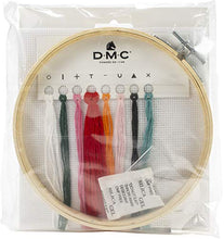 Load image into Gallery viewer, Dmc Stitch Kit Xs-Carmen (14 Count)