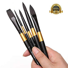 Load image into Gallery viewer, Dainayw Watercolor Paint Brushes Set Squirrel Hair Professional Artist Painting Mop for Gouache Watercolors Inks, 5 Pcs Black Golden Handle